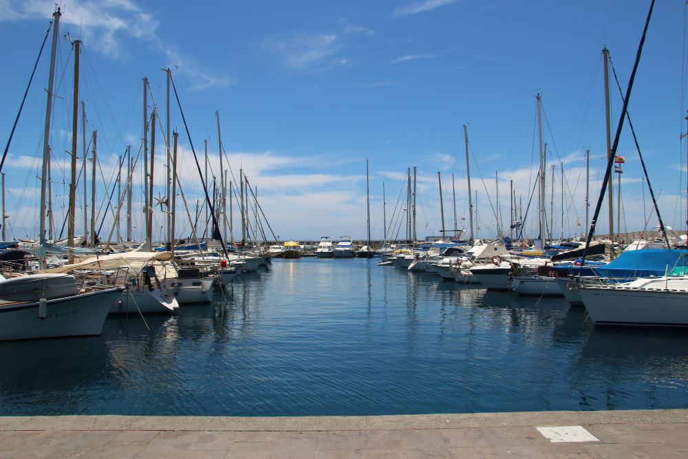 blog image How to Put Your Marina Berth for Sale Faster in New Zealand?