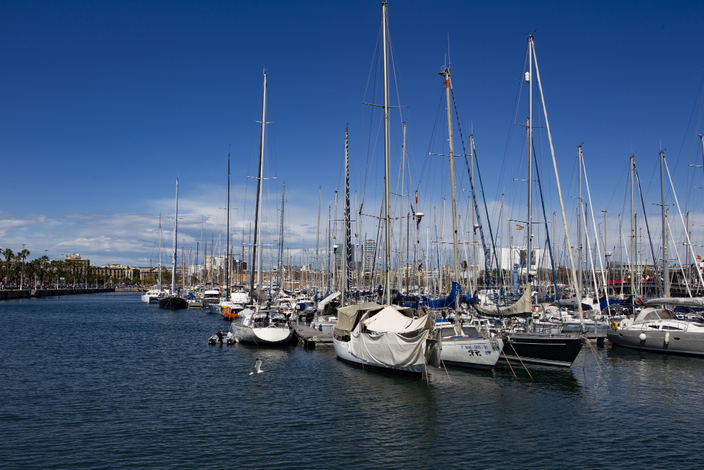 blog image